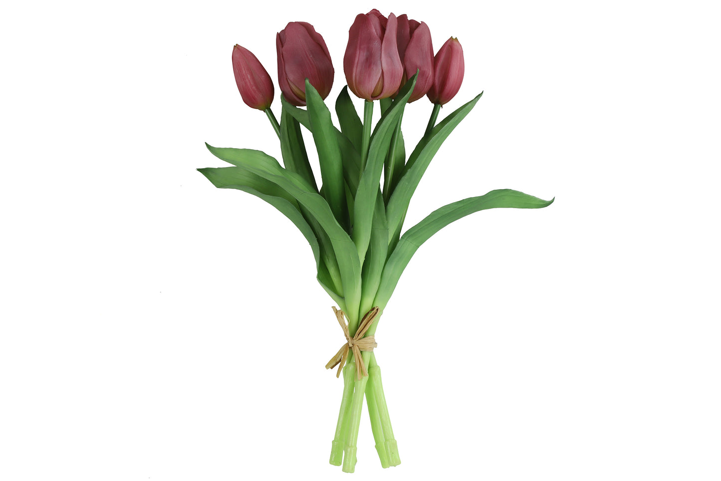 Tulpen Boeket Paars Kort