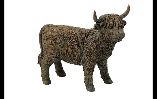 Schotse hooglander Ulla S bruin