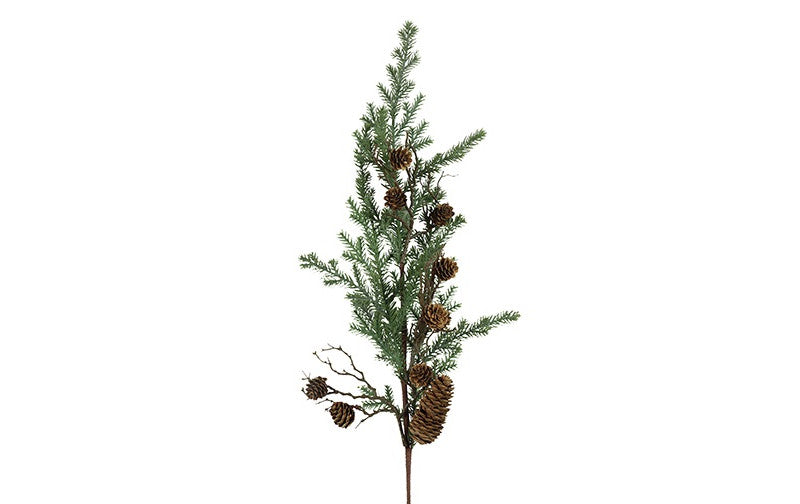 Dennentak Picea abies met dennenappels - groen