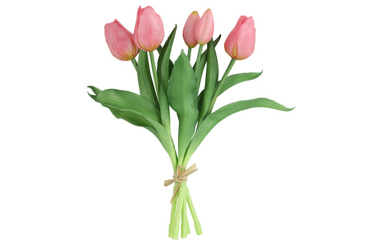 Tulpen Boeket Roze Kort
