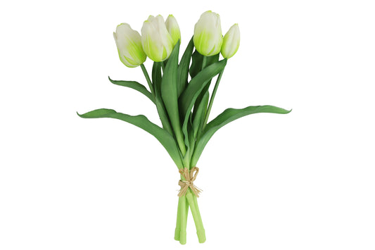 Tulpen Boeket Wit Kort